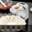 imgi_29_20250903_2249_DumplingMakerDemonstration_remix_01k48nc285fzdr8rcjsw3pn41w_1296x1296