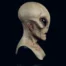 imgi_40_ad623581283e1e0ed50949fddbec114e_1296x1296